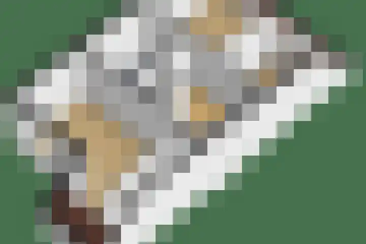 Sneeuwwit 3 Zoetermeer thumbnail 43