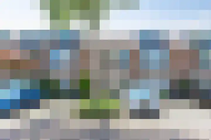 Sneeuwwit 33 in Zoetermeer