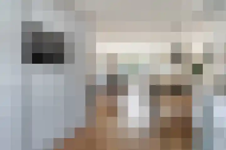 Sneeuwwit 33 Zoetermeer thumbnail 16