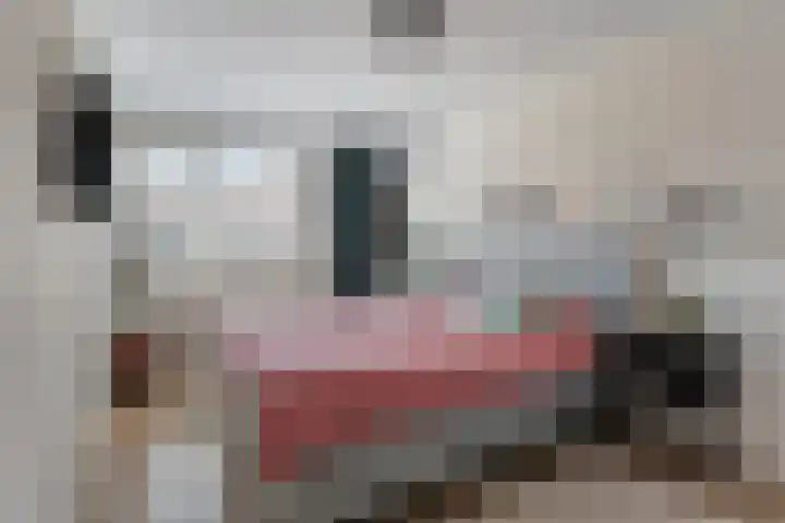 Sneeuwwit 33 Zoetermeer thumbnail 18