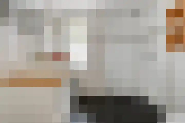 Sneeuwwit 33 Zoetermeer thumbnail 20