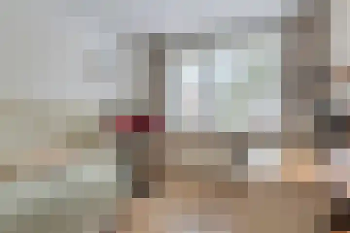 Sneeuwwit 33 Zoetermeer thumbnail 22