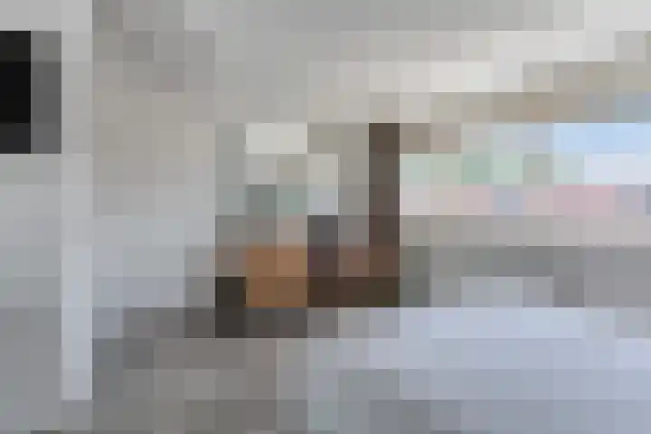 Sneeuwwit 33 Zoetermeer thumbnail 30