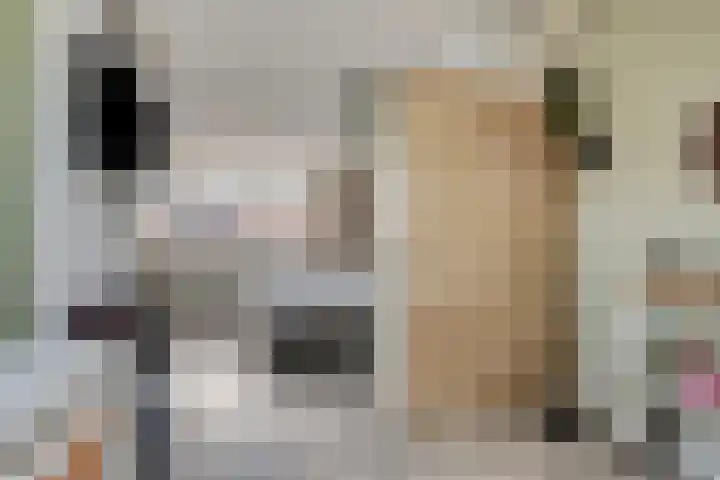 Sneeuwwit 33 Zoetermeer thumbnail 32