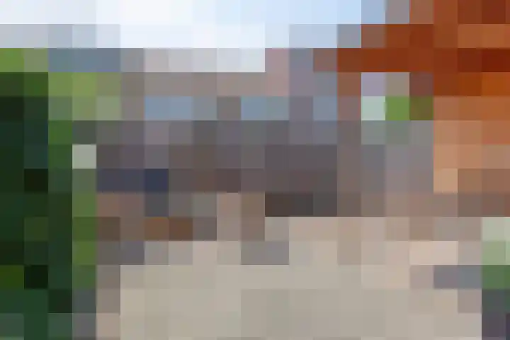 Sneeuwwit 33 Zoetermeer thumbnail 34