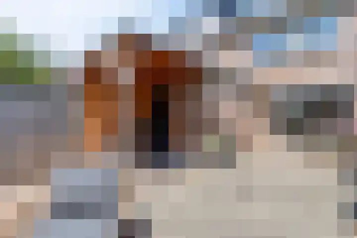 Sneeuwwit 33 Zoetermeer thumbnail 36