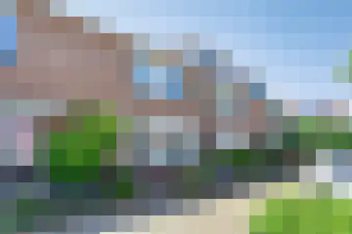 Sneeuwwit 33 Zoetermeer thumbnail 5