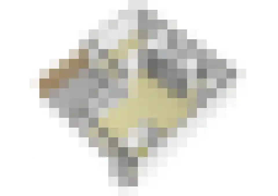 Sneevliethof 13 's-Hertogenbosch thumbnail 33