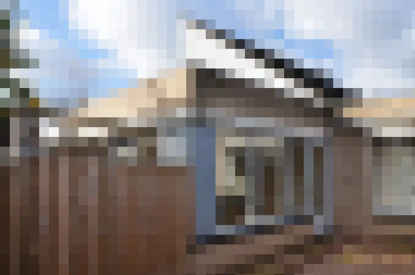 Sneevliethof 39 's-Hertogenbosch thumbnail 35