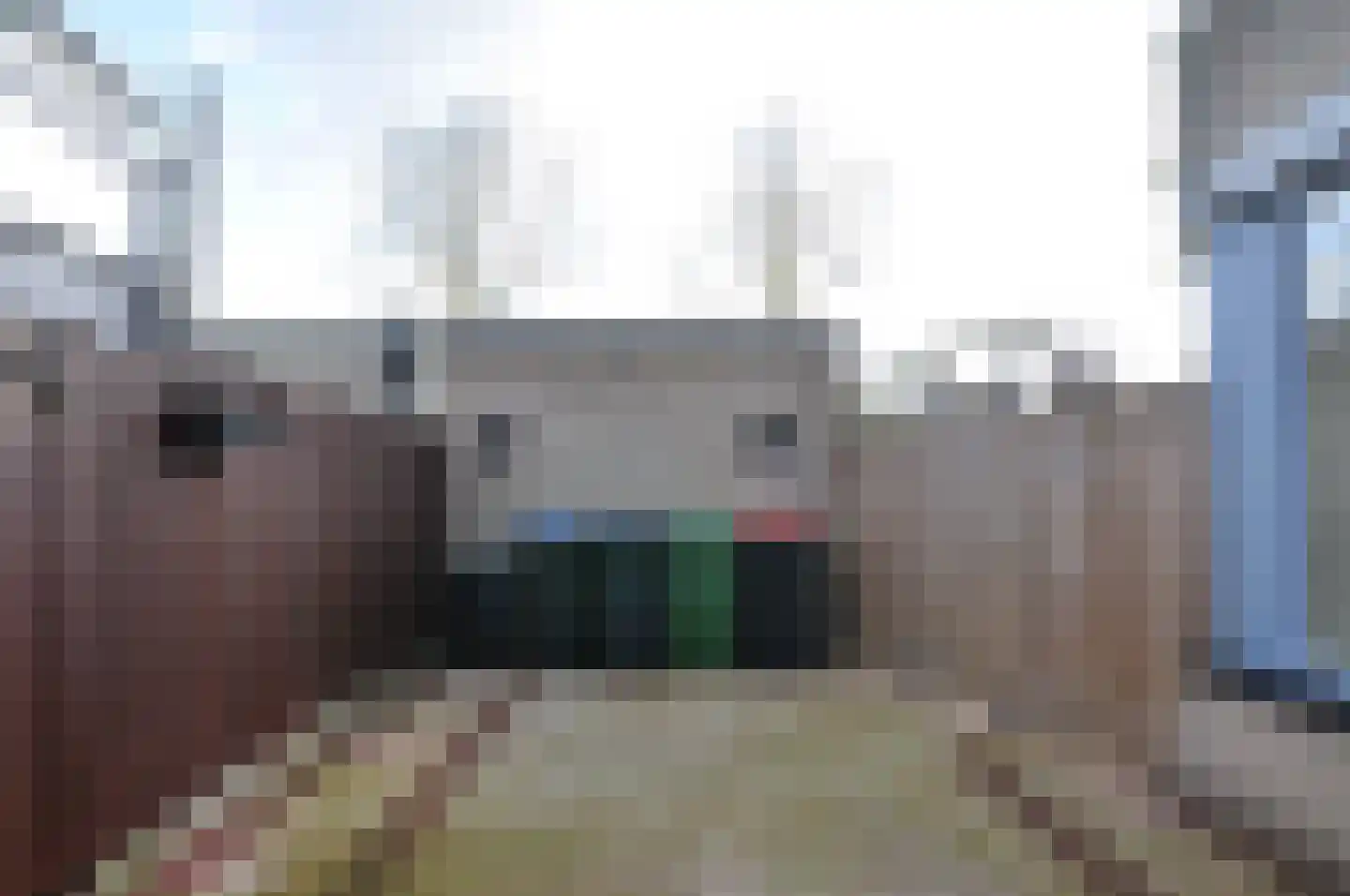 Sneevliethof 39 's-Hertogenbosch thumbnail 36