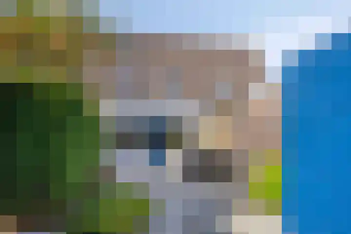 Sneevlietstraat 19 Zwolle thumbnail 12