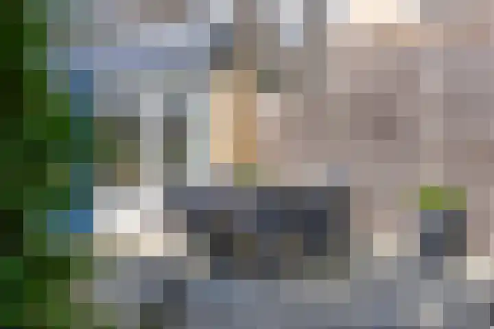 Sneevlietstraat 19 Zwolle thumbnail 13