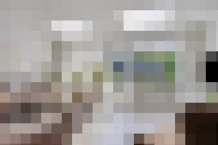 Sneevlietstraat 19 Zwolle thumbnail 5