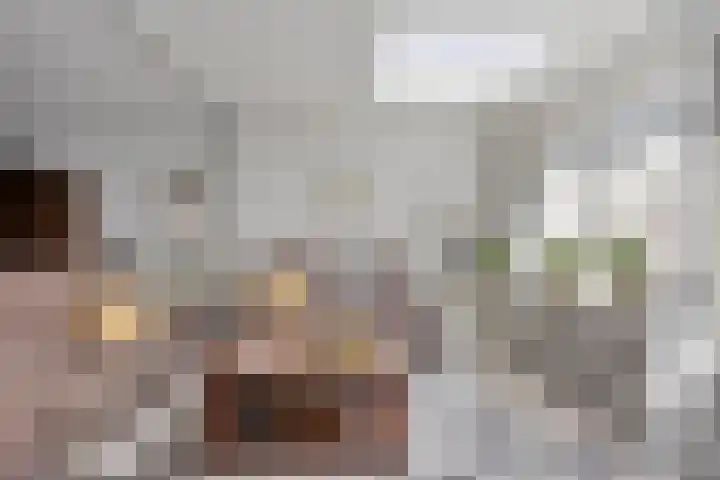 Sneevlietstraat 19 Zwolle thumbnail 6
