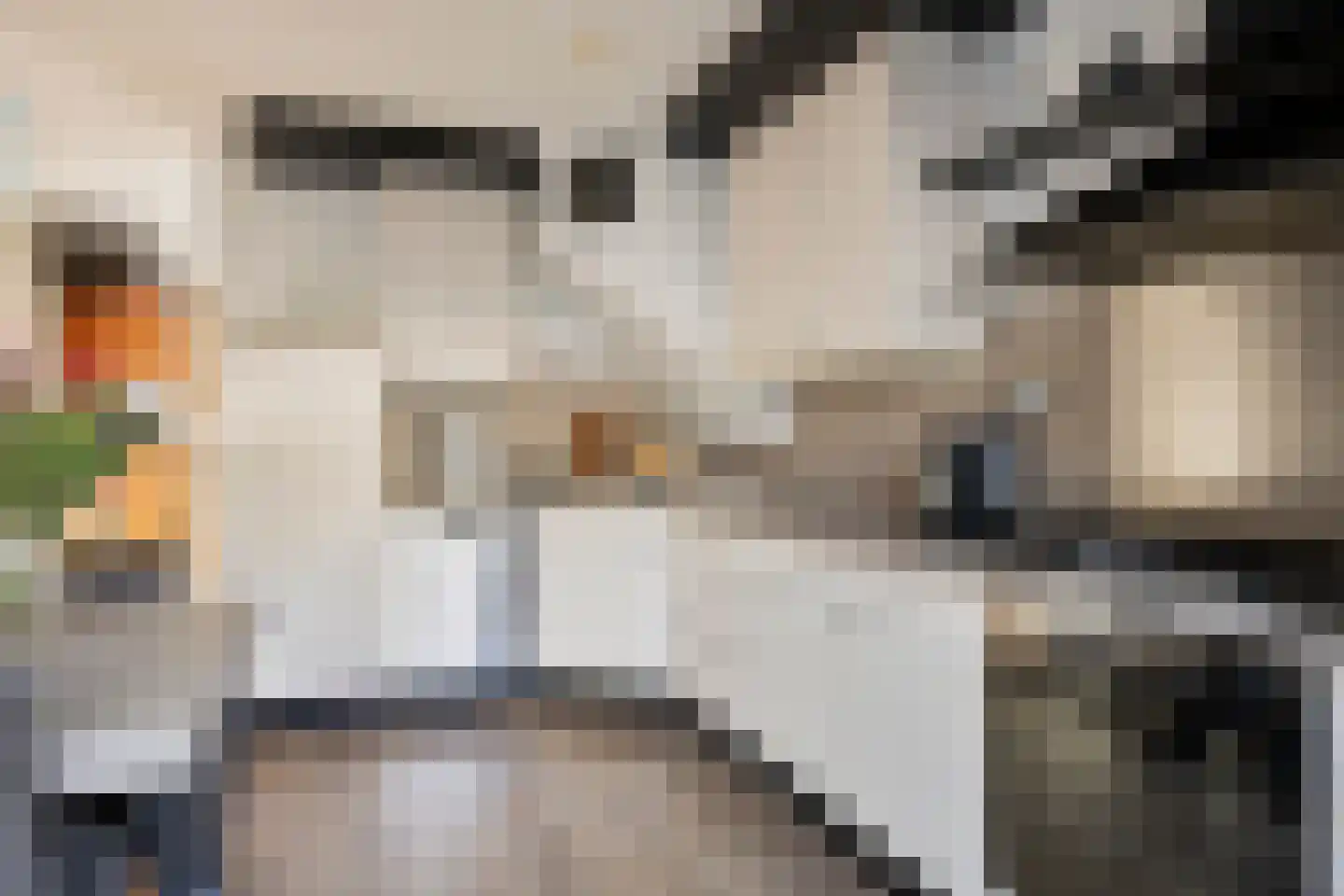 Sneevlietstraat 3 Zwolle thumbnail 10
