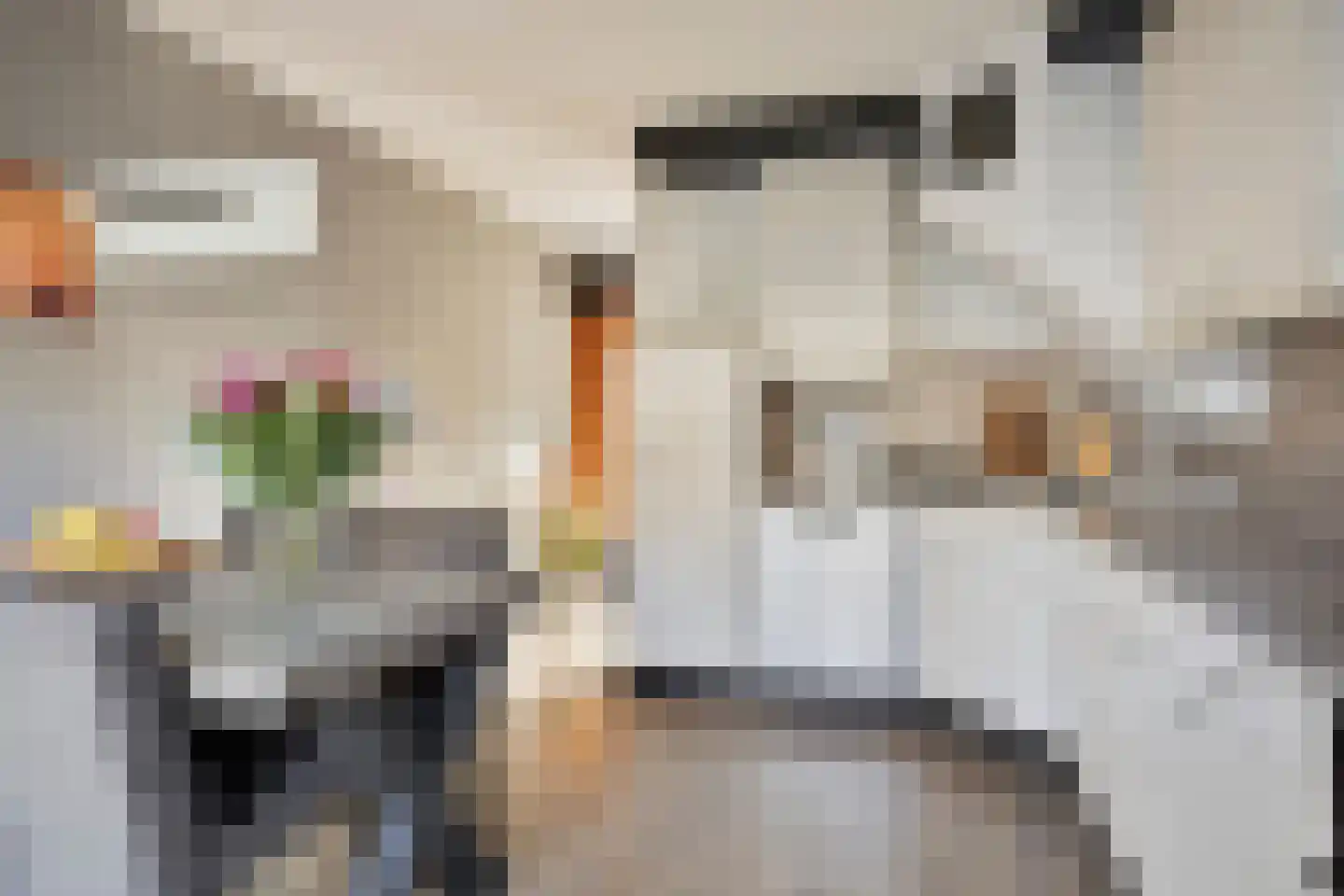 Sneevlietstraat 3 Zwolle thumbnail 11