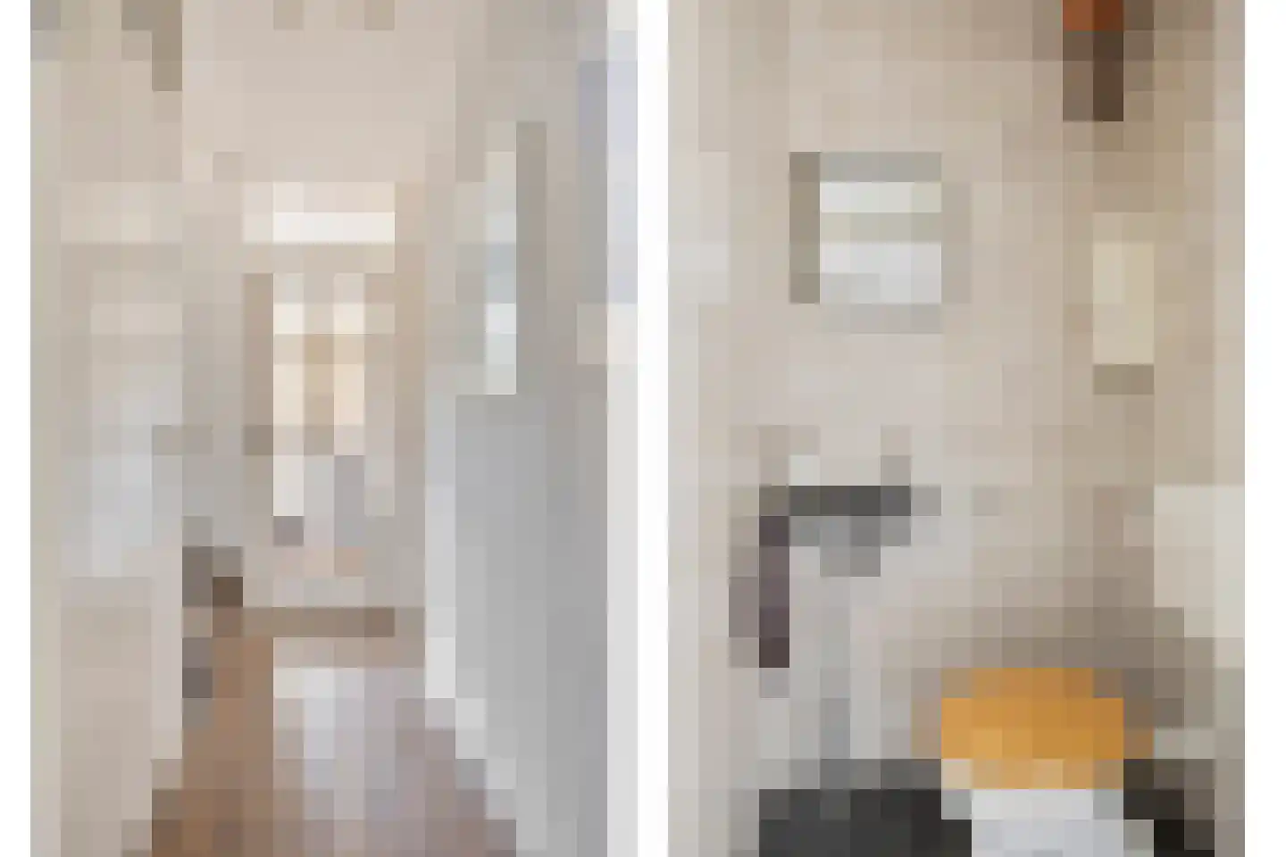 Sneevlietstraat 3 Zwolle thumbnail 13