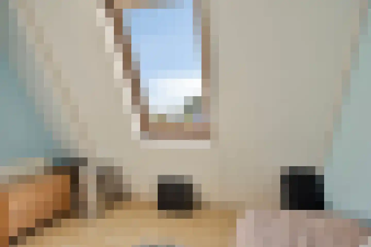 Sneevlietstraat 3 Zwolle thumbnail 24