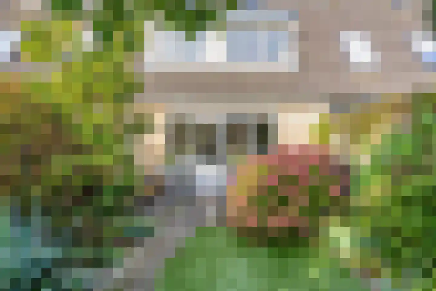 Sneevlietstraat 3 Zwolle thumbnail 26
