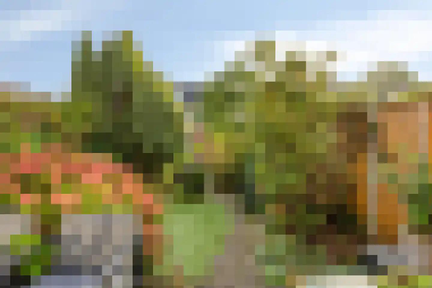 Sneevlietstraat 3 Zwolle thumbnail 29