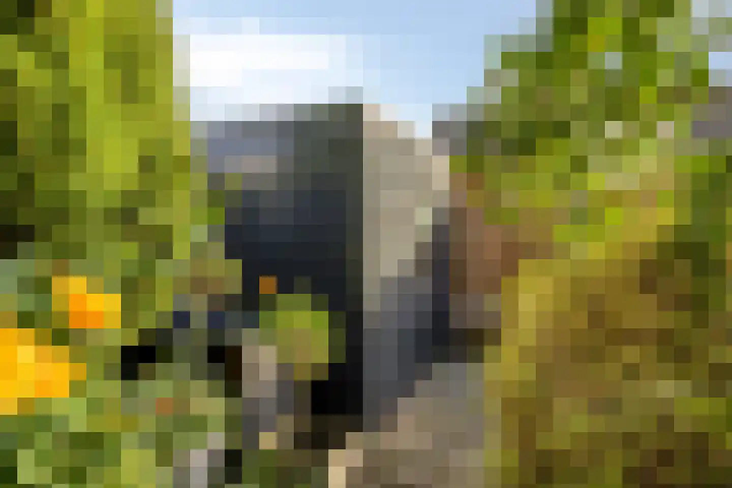 Sneevlietstraat 3 Zwolle thumbnail 30