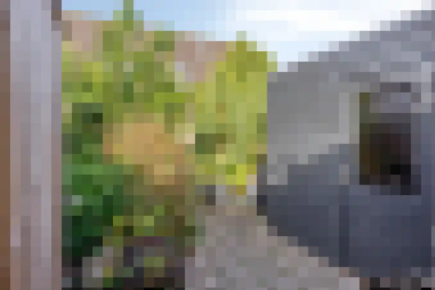 Sneevlietstraat 3 Zwolle thumbnail 31