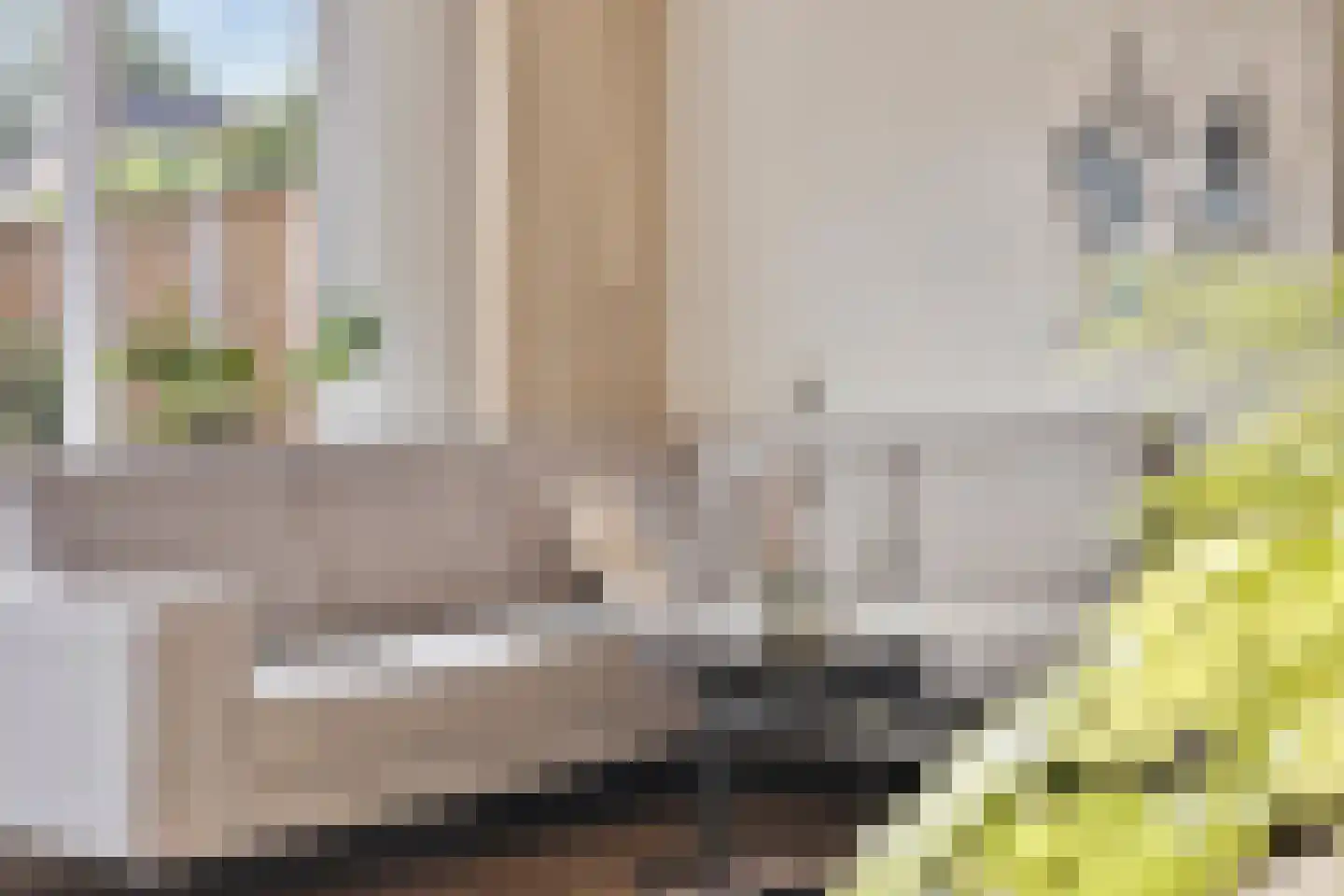 Sneevlietstraat 3 Zwolle thumbnail 5