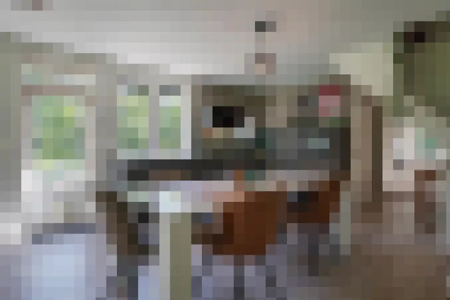 Sneidershoek 15 Knegsel thumbnail 17