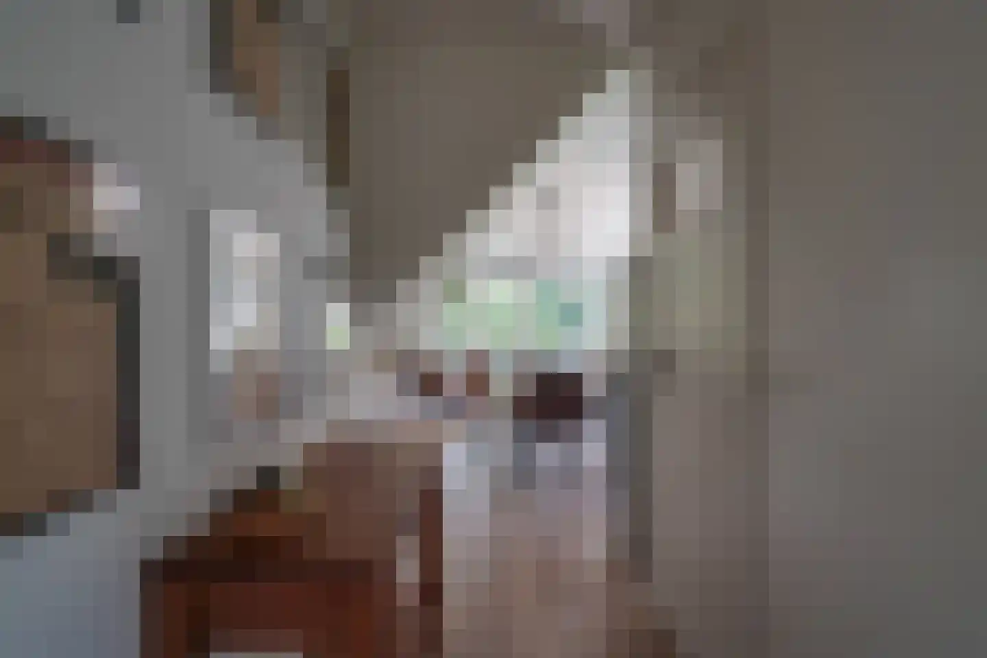 Sneidershoek 15 Knegsel thumbnail 19