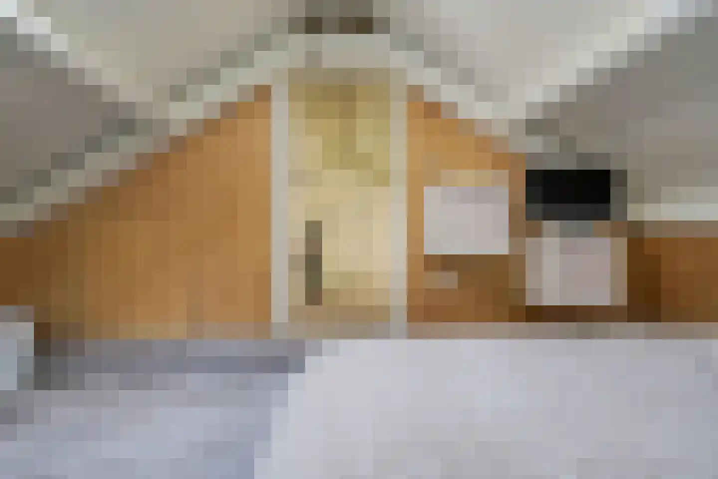 Sneidershoek 15 Knegsel thumbnail 28