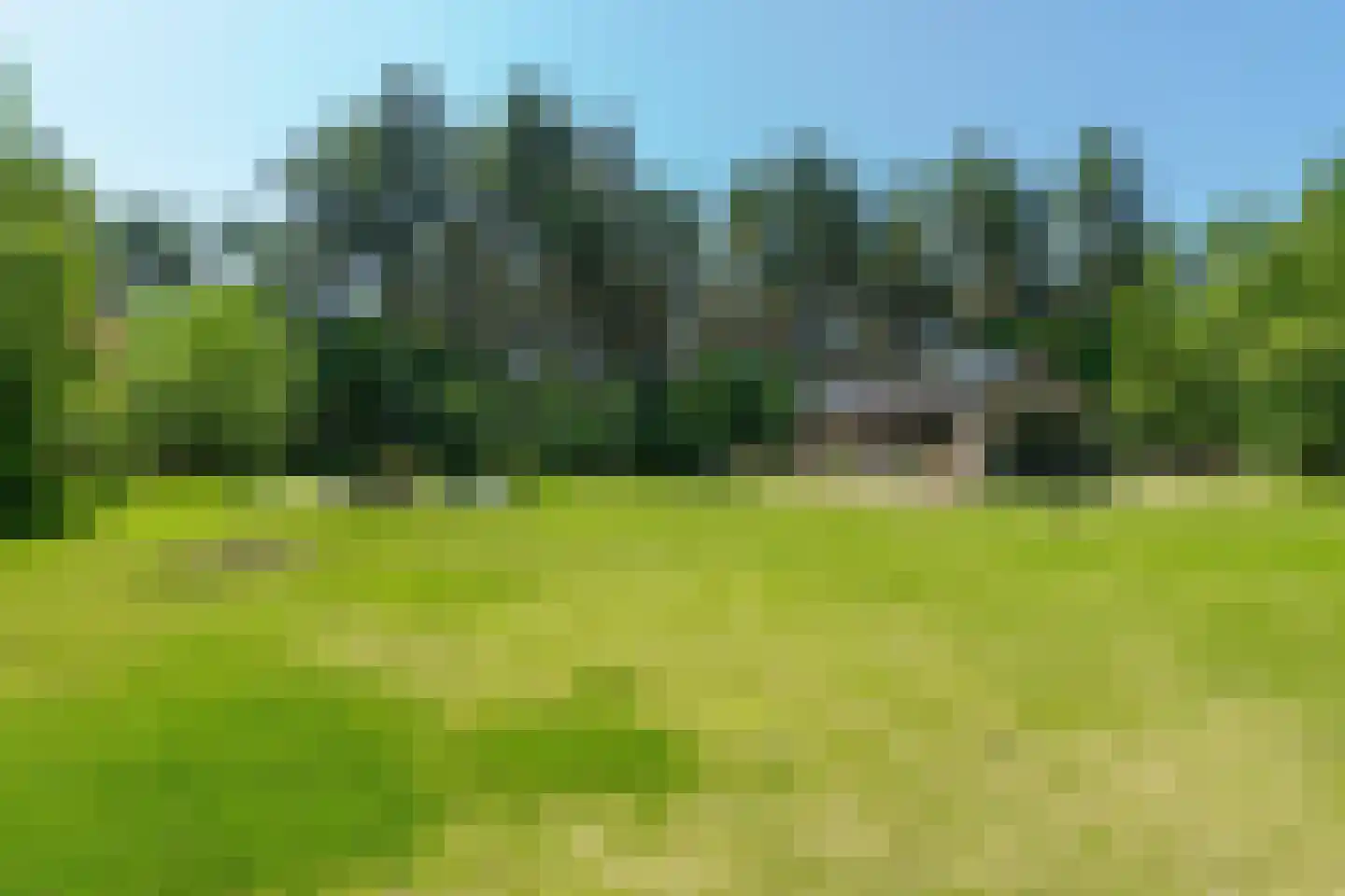 Sneidershoek 15 Knegsel thumbnail 39
