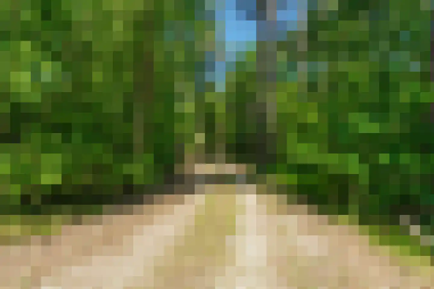 Sneidershoek 15 Knegsel thumbnail 41