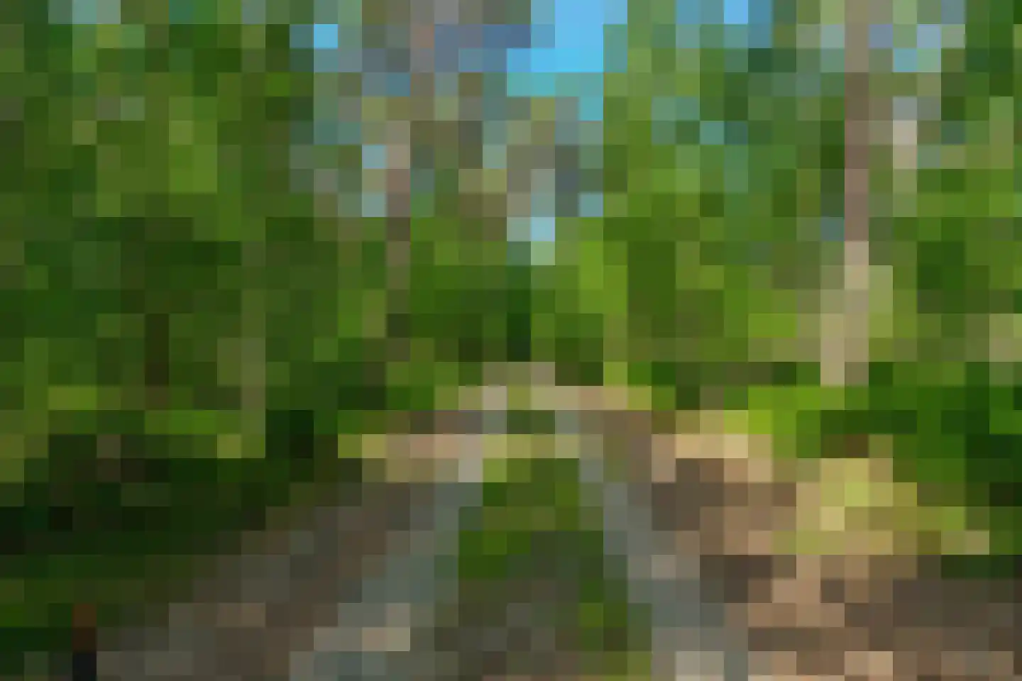 Sneidershoek 15 Knegsel thumbnail 42