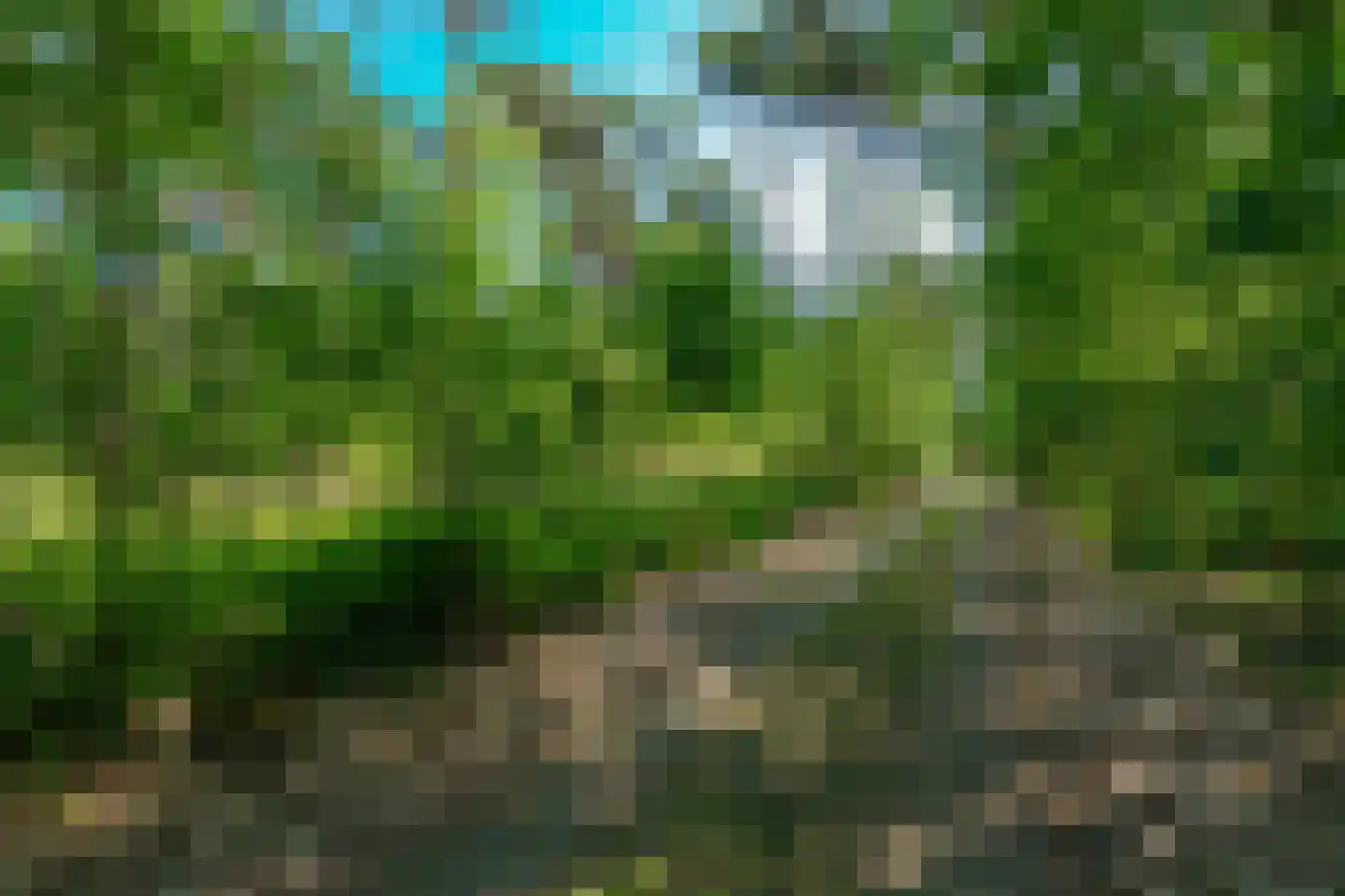 Sneidershoek 15 Knegsel thumbnail 43