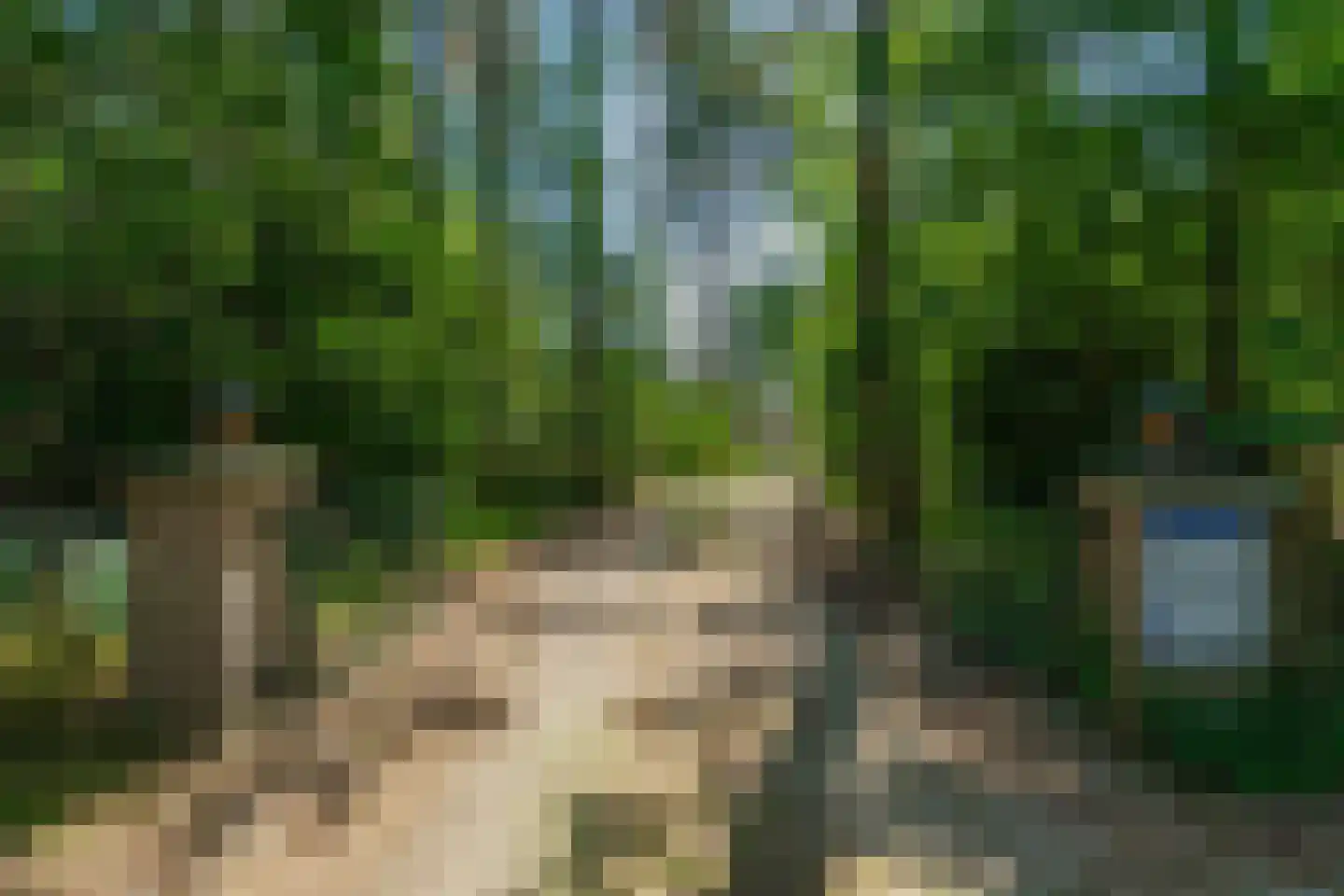 Sneidershoek 15 Knegsel thumbnail 7