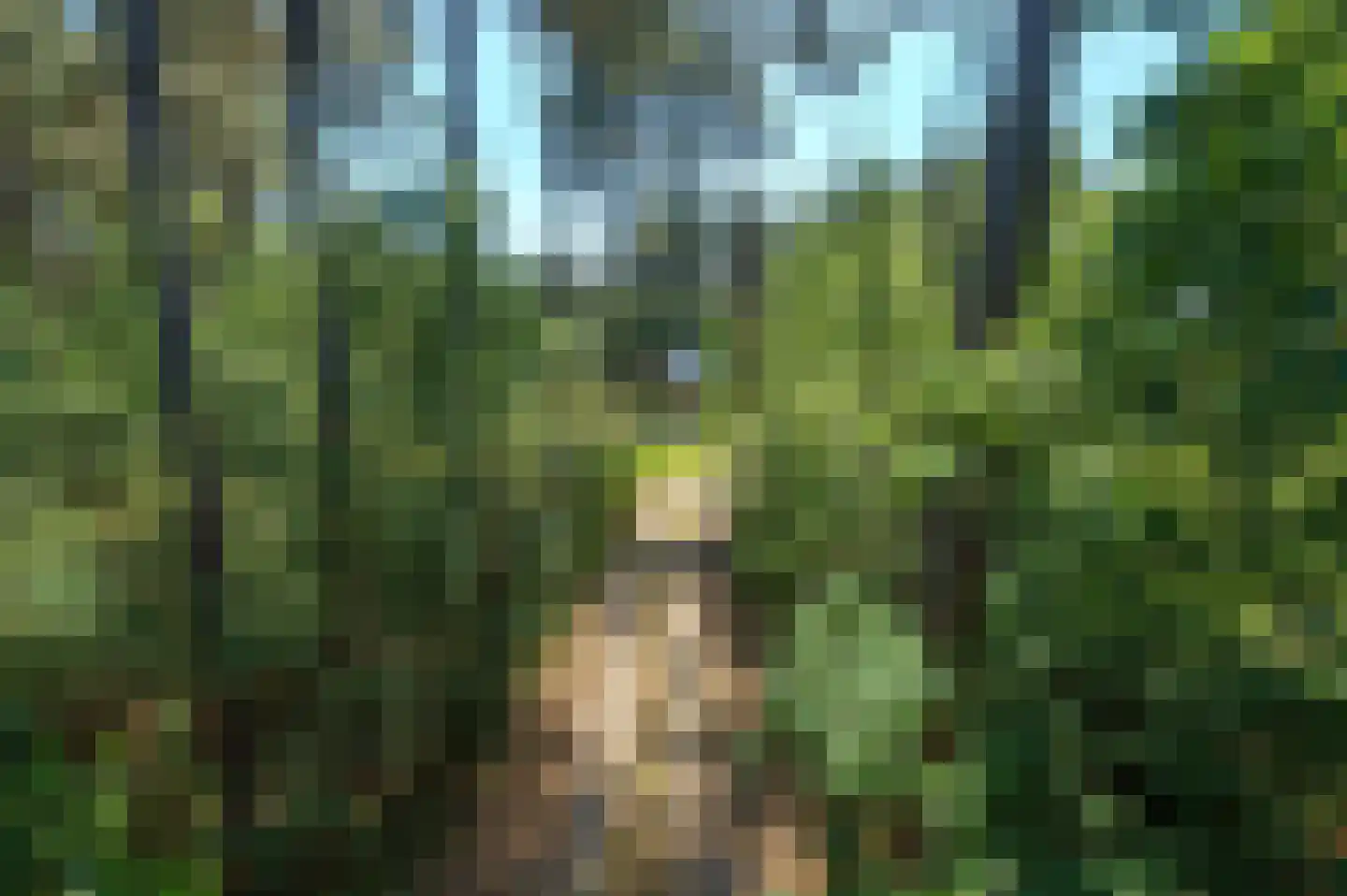 Sneidershoek 15 Knegsel thumbnail 8