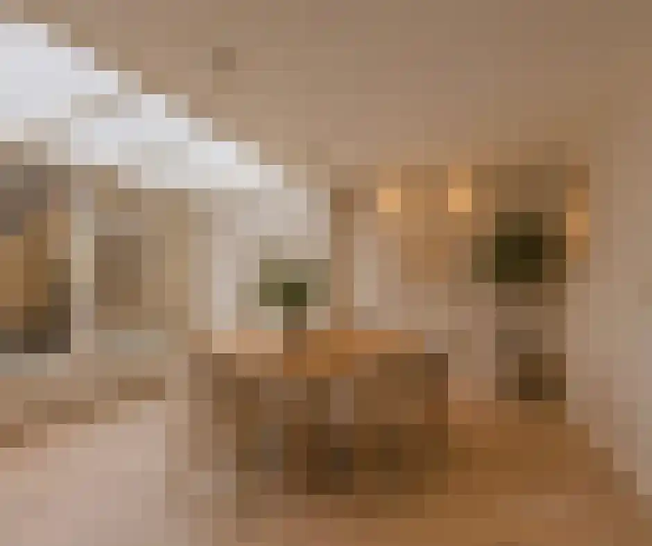 Snekerpoort 1 Bolsward thumbnail 30