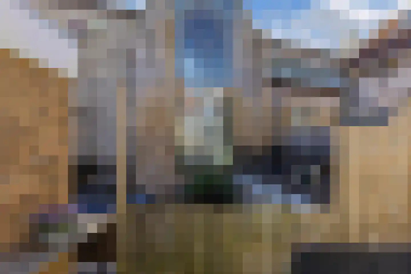Snekerpoort 1 Bolsward thumbnail 42