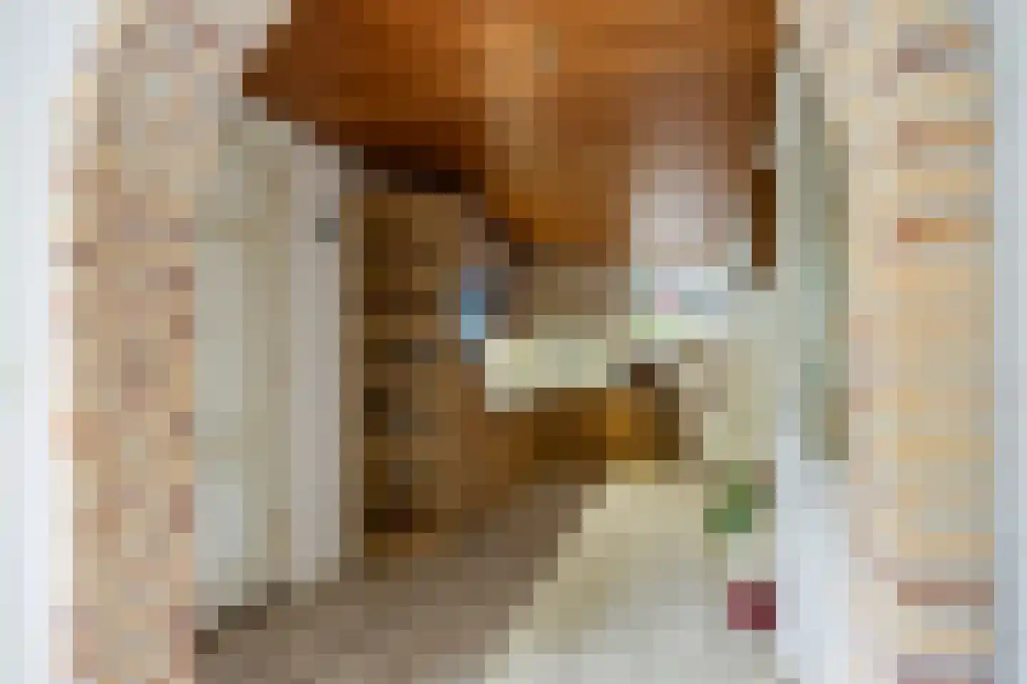 Snekerstraat 31 Bolsward thumbnail 14
