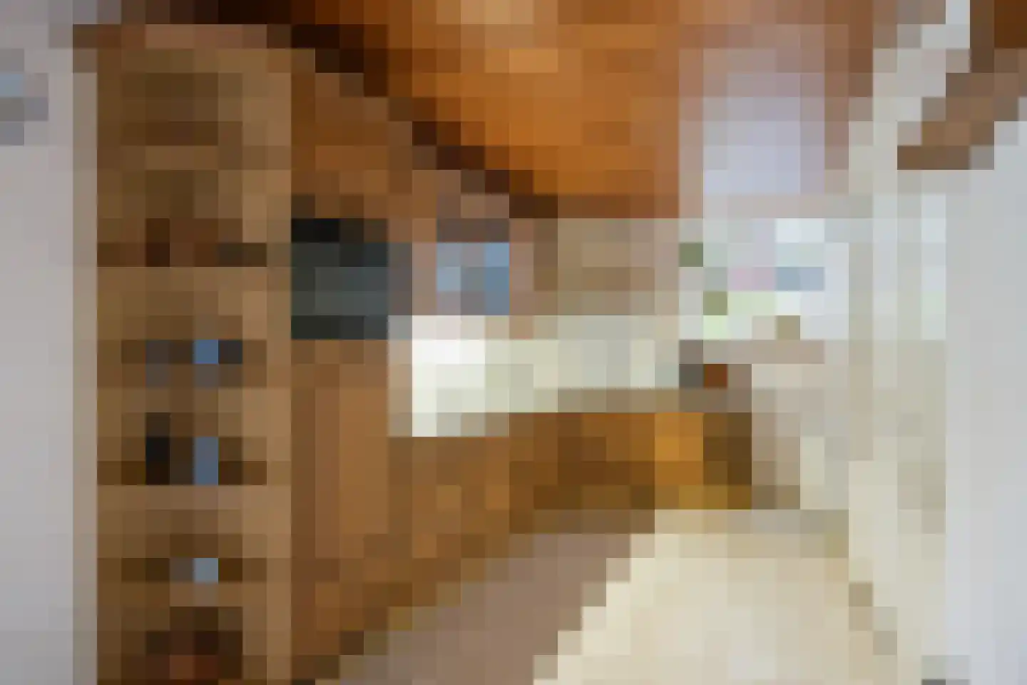 Snekerstraat 31 Bolsward thumbnail 15
