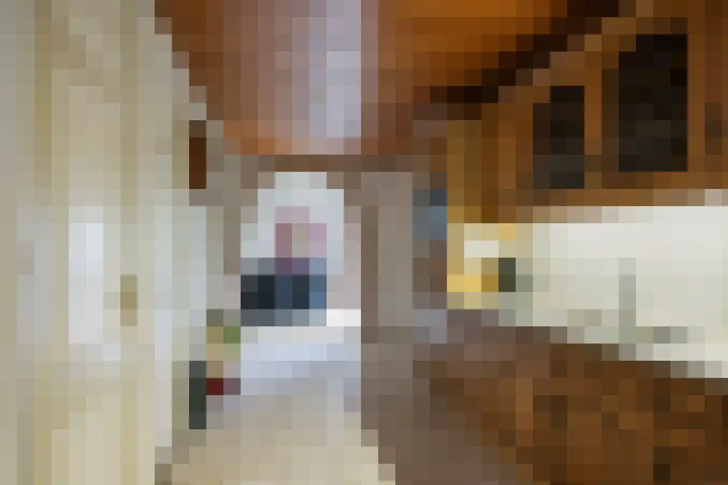 Snekerstraat 31 Bolsward thumbnail 16