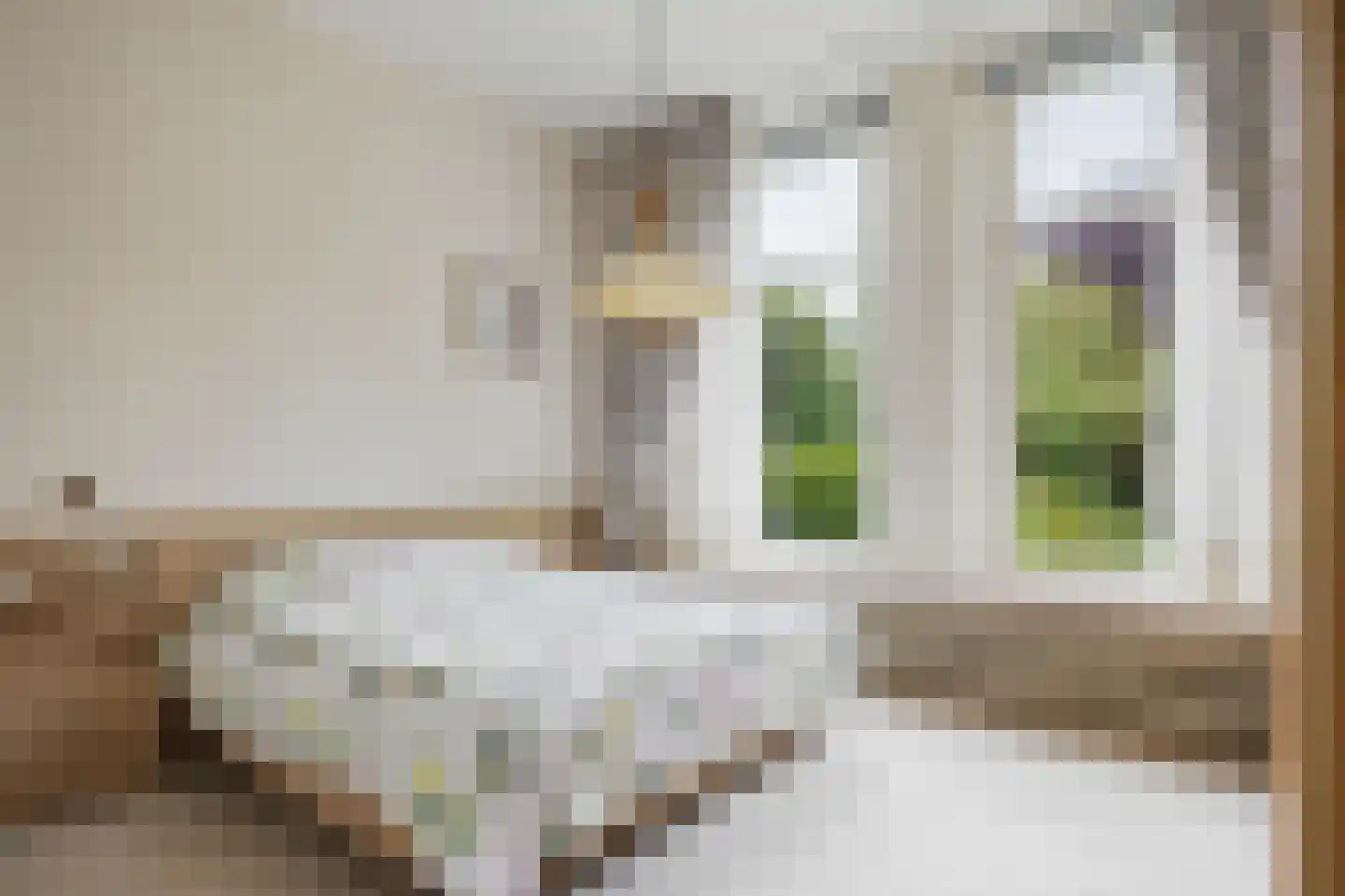 Snekerstraat 31 Bolsward thumbnail 22
