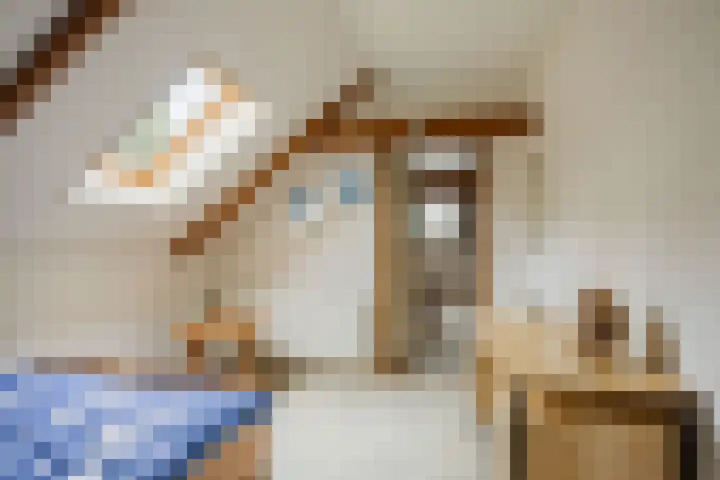 Snekerstraat 31 Bolsward thumbnail 34