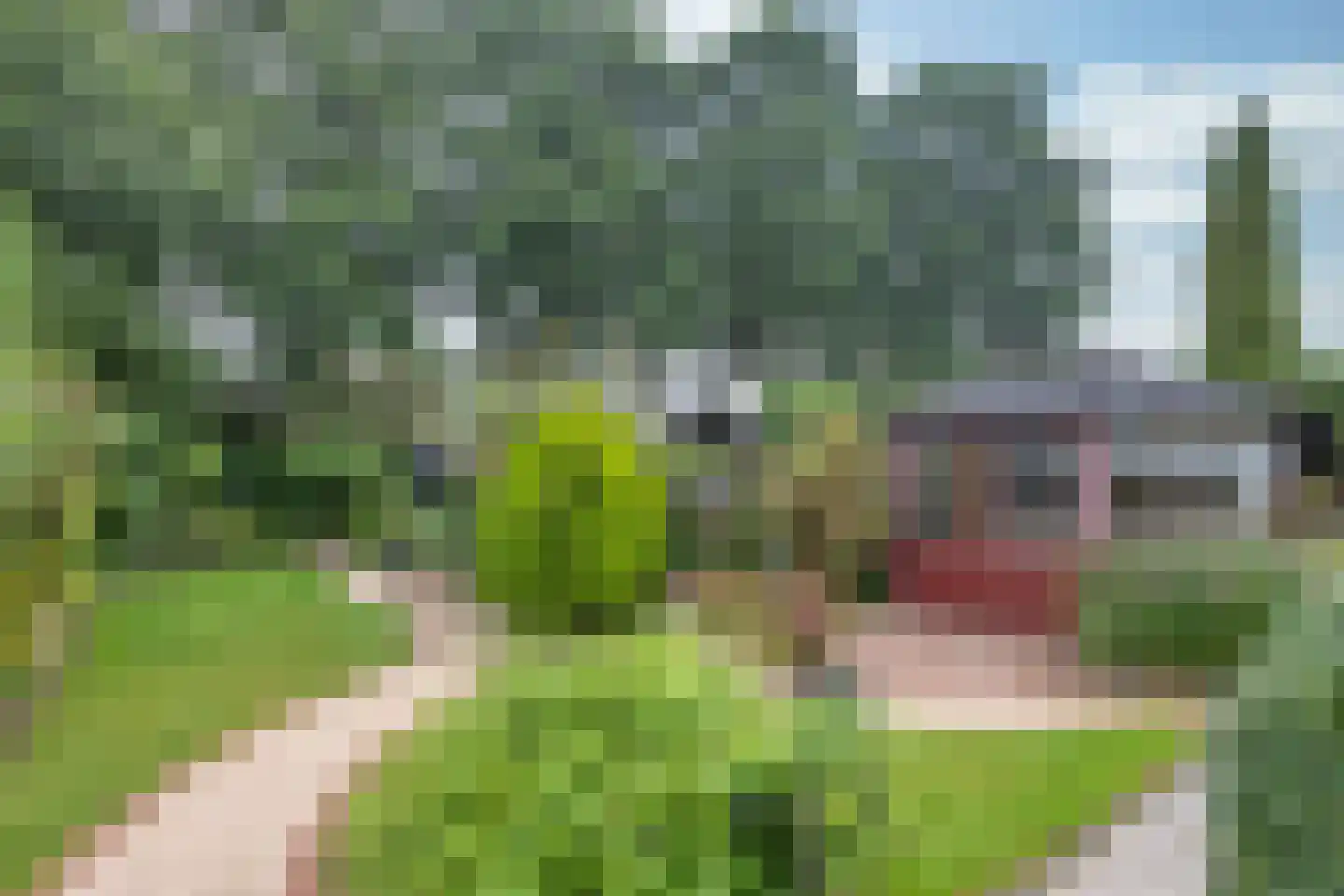 Snekerstraat 31 Bolsward thumbnail 40