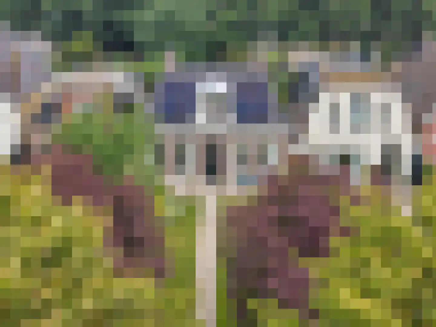 Snekerstraat 31 Bolsward thumbnail 50