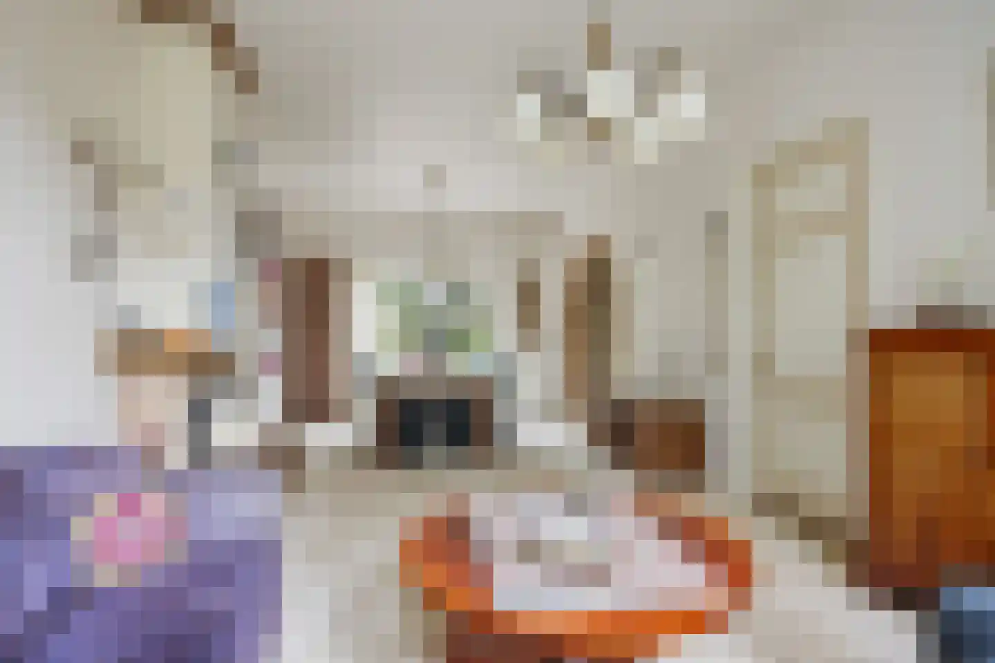 Snekerstraat 31 Bolsward thumbnail 8