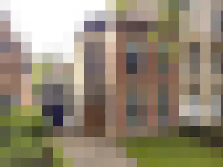 Snekerstraat 46 Bolsward thumbnail 4