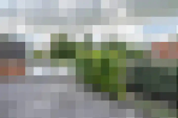 Snekerstraat 46 Bolsward thumbnail 50
