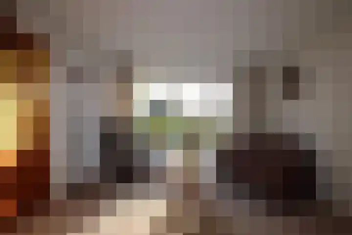 Snekerstraat 77 Bolsward thumbnail 12