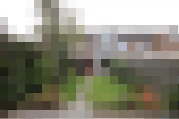 Snekerstraat 77 Bolsward thumbnail 23